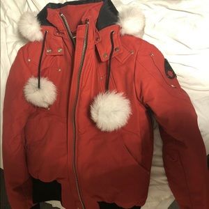 Moose knuckles winter jacket